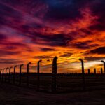 Auschwitz_Oswiecim-Pol-NorTravel_20