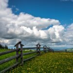 Zakopane-Gubalowka-Kasprowy-Pol-NorTravel_13