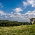 Zamek-Mirow-Szlakiem-Orlich-Gniazd-Pol-NorTravel_02